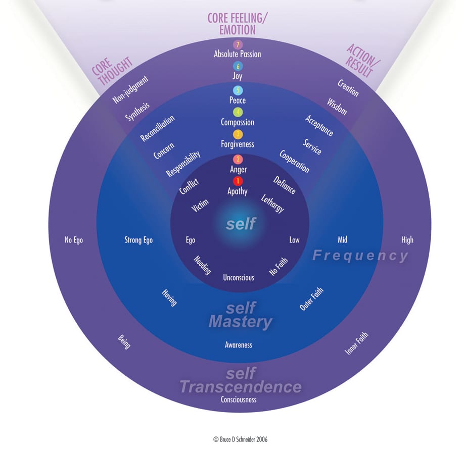 Energy Leadership Index in the Self Perception Chart