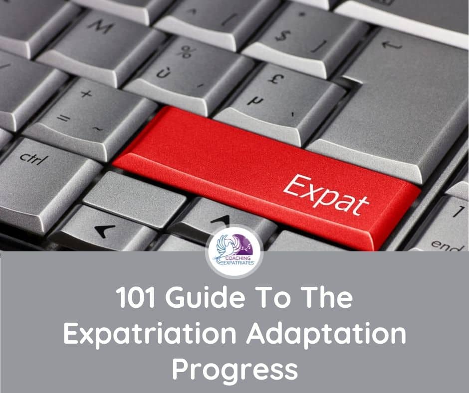 101 Guide To The Expatriation Adaptation Progress