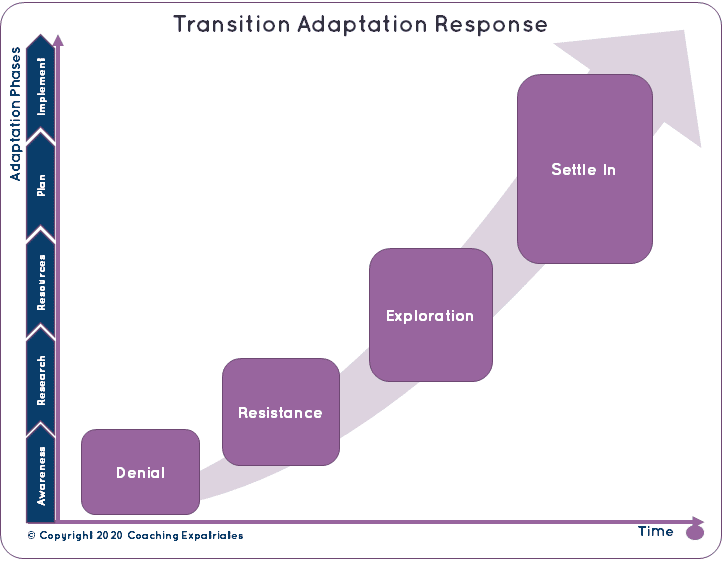Expatriation Adaptation Process