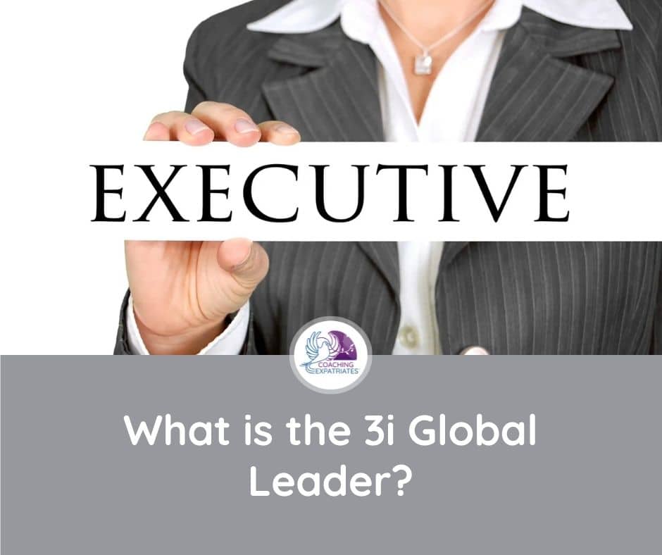 What is the 3i Global Leader
