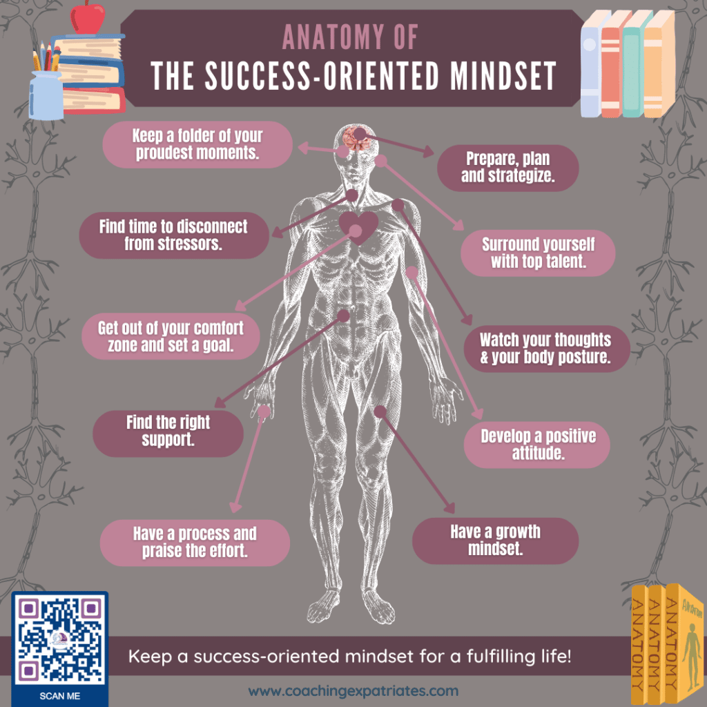 developing a success mindset - anatomy of success