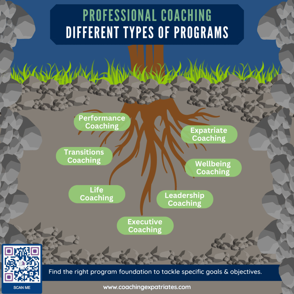 professional coaching types