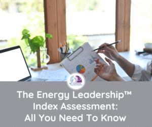 Energy Leadership Index Assessment Article