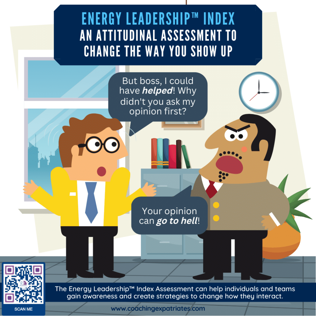 Energy Leadership Index Assessment - Comics