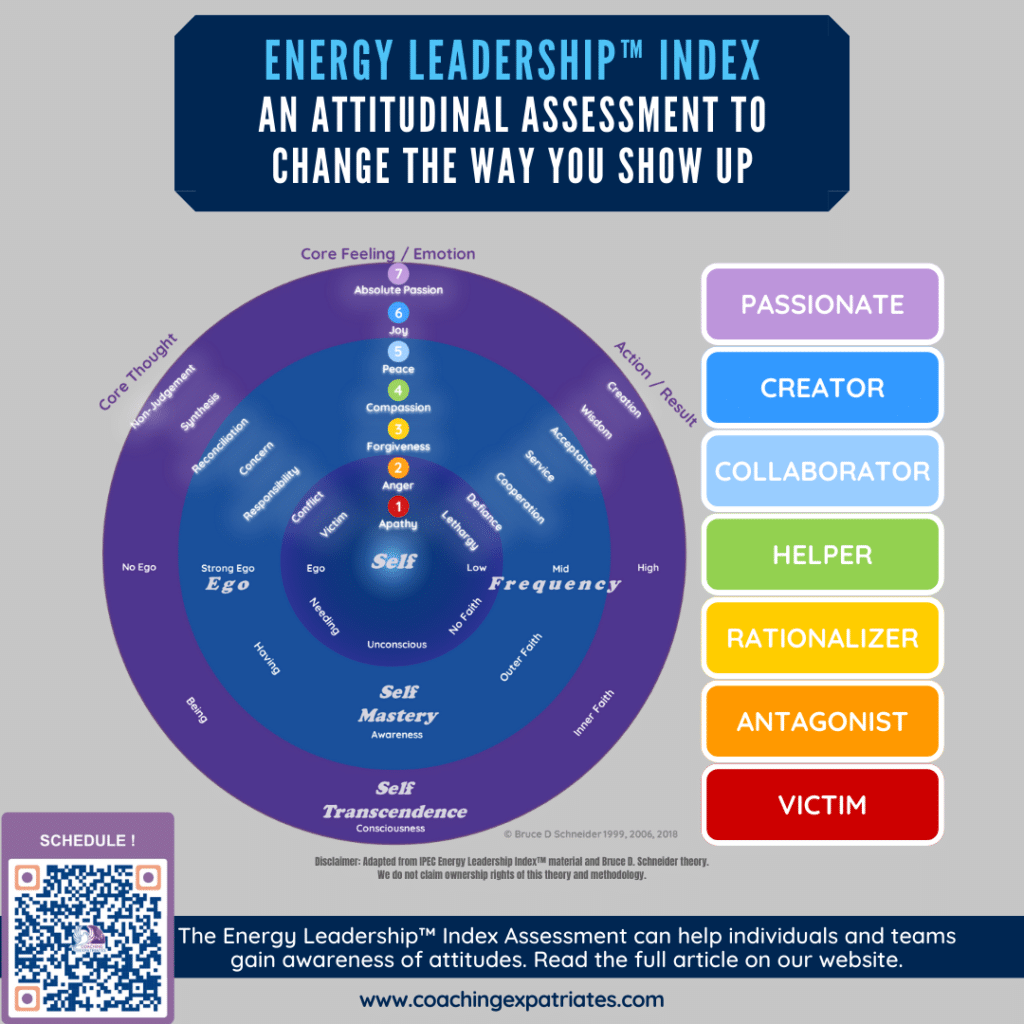 Energy Leadership Index Assessment - Infographics (new)