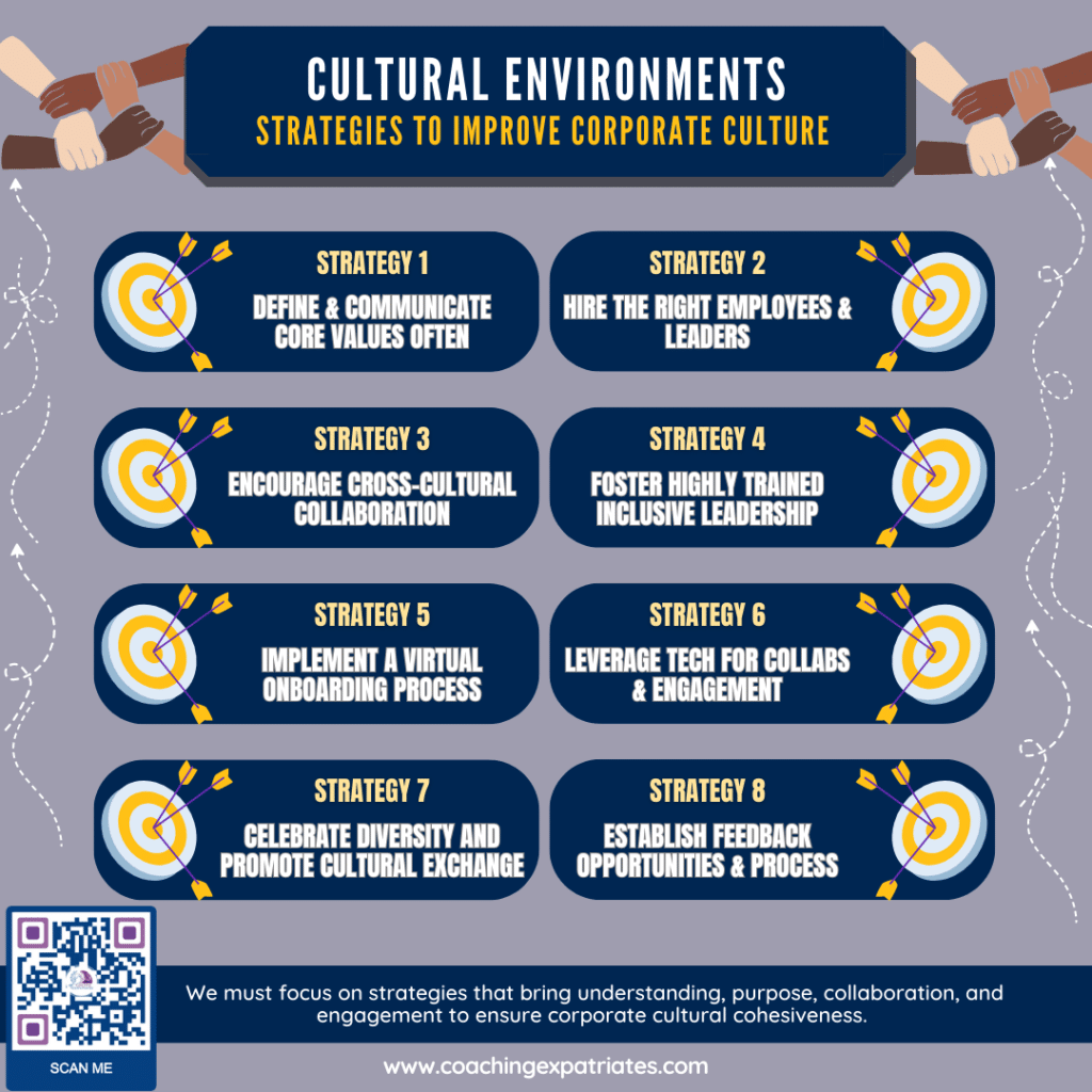 Cultural Environment - Strategies Infographic
