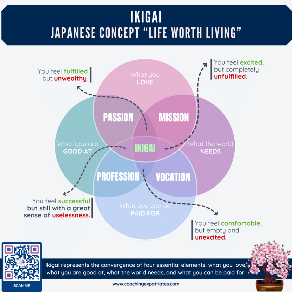 Infographic - Ikigai diagram for blog